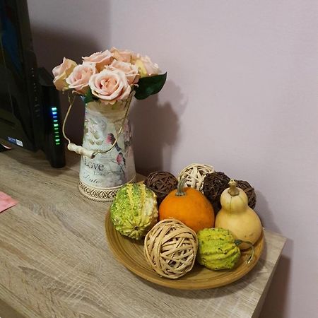 Studio Apartman Ld U Strogom Centru Novi Sad Eksteriør bilde