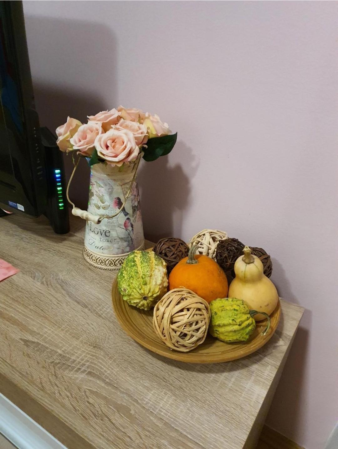 Studio Apartman Ld U Strogom Centru Novi Sad Eksteriør bilde