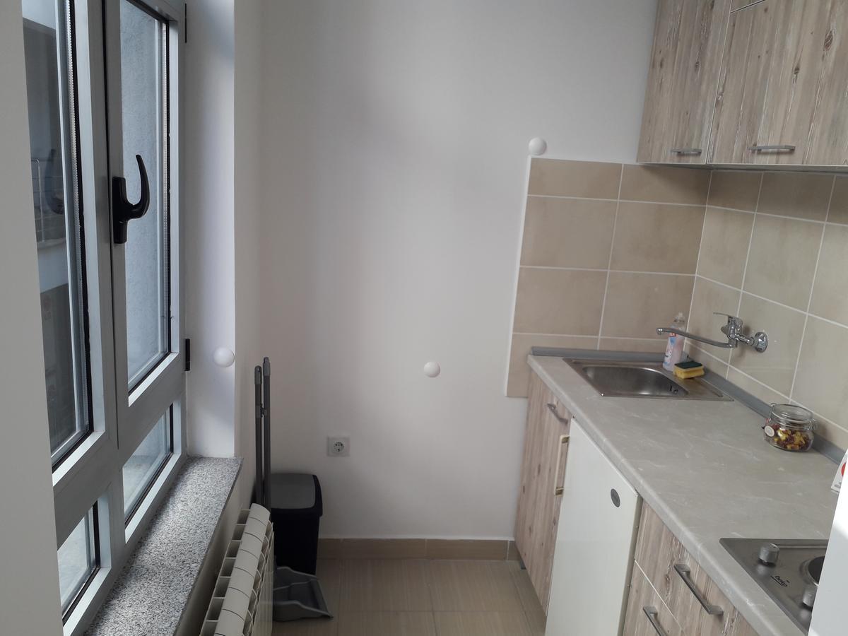 Studio Apartman Ld U Strogom Centru Novi Sad Eksteriør bilde